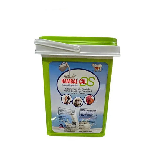 HAMBAL CAL-DS 5 Litre Calcium for Cattle