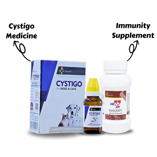 DOUBLE ATTACK ON UTI Cystigo + Me & My Immunity (Combo)