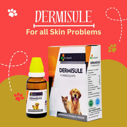 Double Action On Hairfall & Skin Infection Dermisule + Skin & coat (Combo)