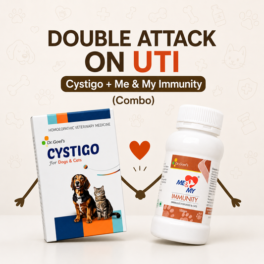DOUBLE ATTACK ON UTI Cystigo + Me & My Immunity (Combo)