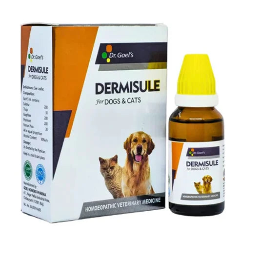 Dermisule homeopathic remedy for skin infection in dogs and cats