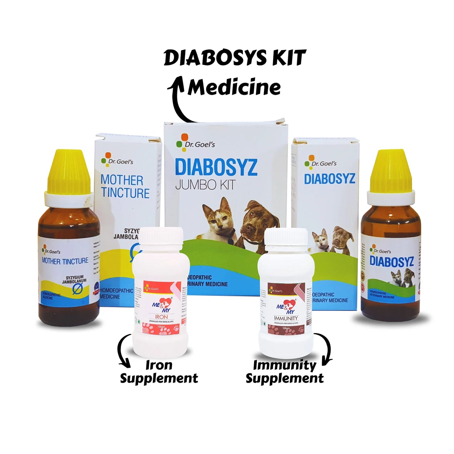 Triple Action Against Diabetes Diabosyz Kit + Me & My Immunity + Me & My Iron (Combo)