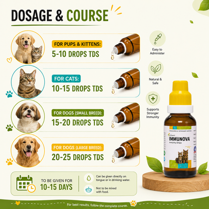 IMMUNOVA for INCREASING IMMUNITY in PETS