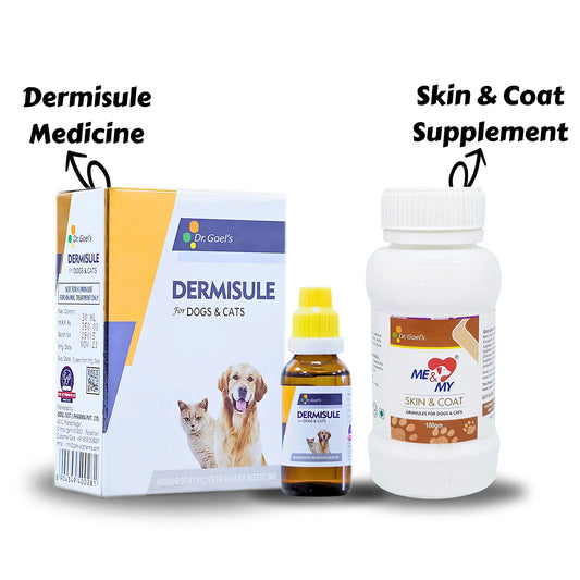 Double Action On Hairfall & Skin Infection Dermisule + Skin & coat (Combo)