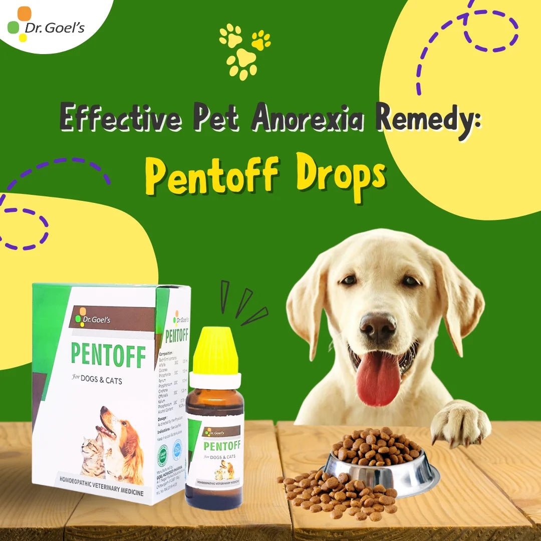 PENTOFF for PETS 20ML For Anorexia