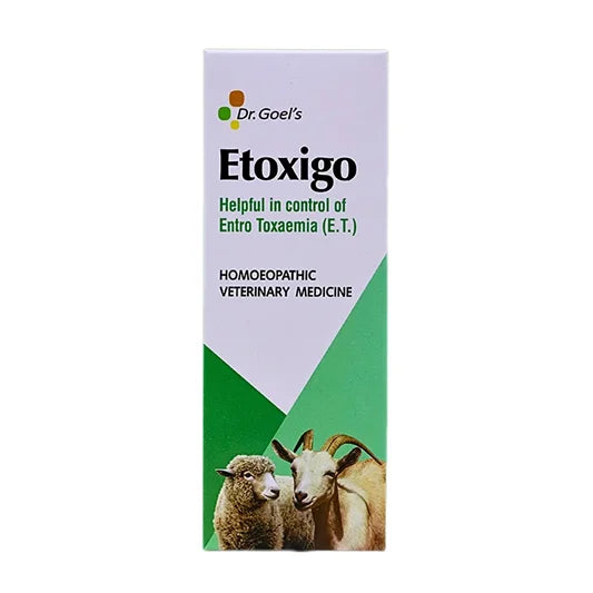 Etoxigo for Sheep and Goat – It Helpful in controlling of Entro Toxaemia (E.T)