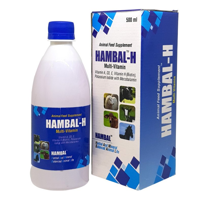 HAMBAL H 500ML Vitamin H for Cattle