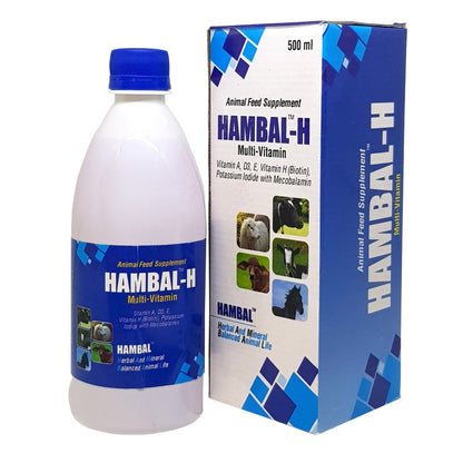 HAMBAL H 500ML Vitamin H for Cattle