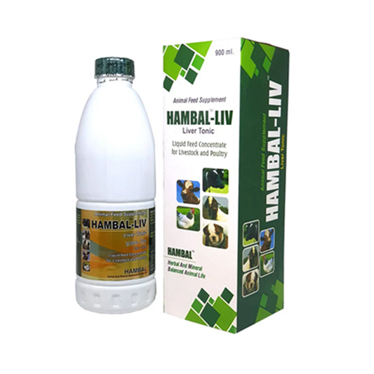 HAMBAL LIV 900ML Liver Tonic for Cattle