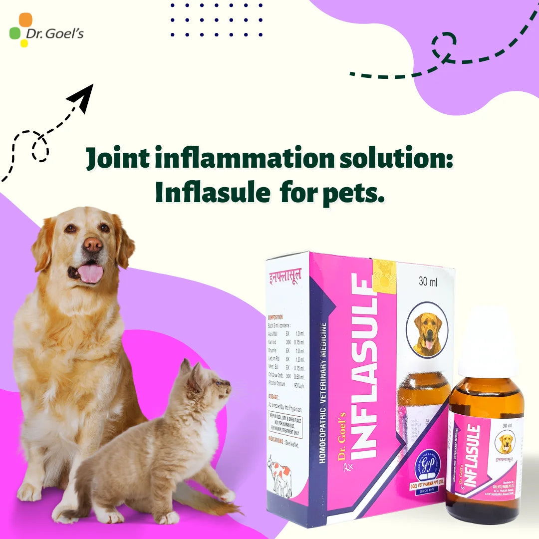 INFLASULE for PETS 30ml For Joint Pain & Rheumatism