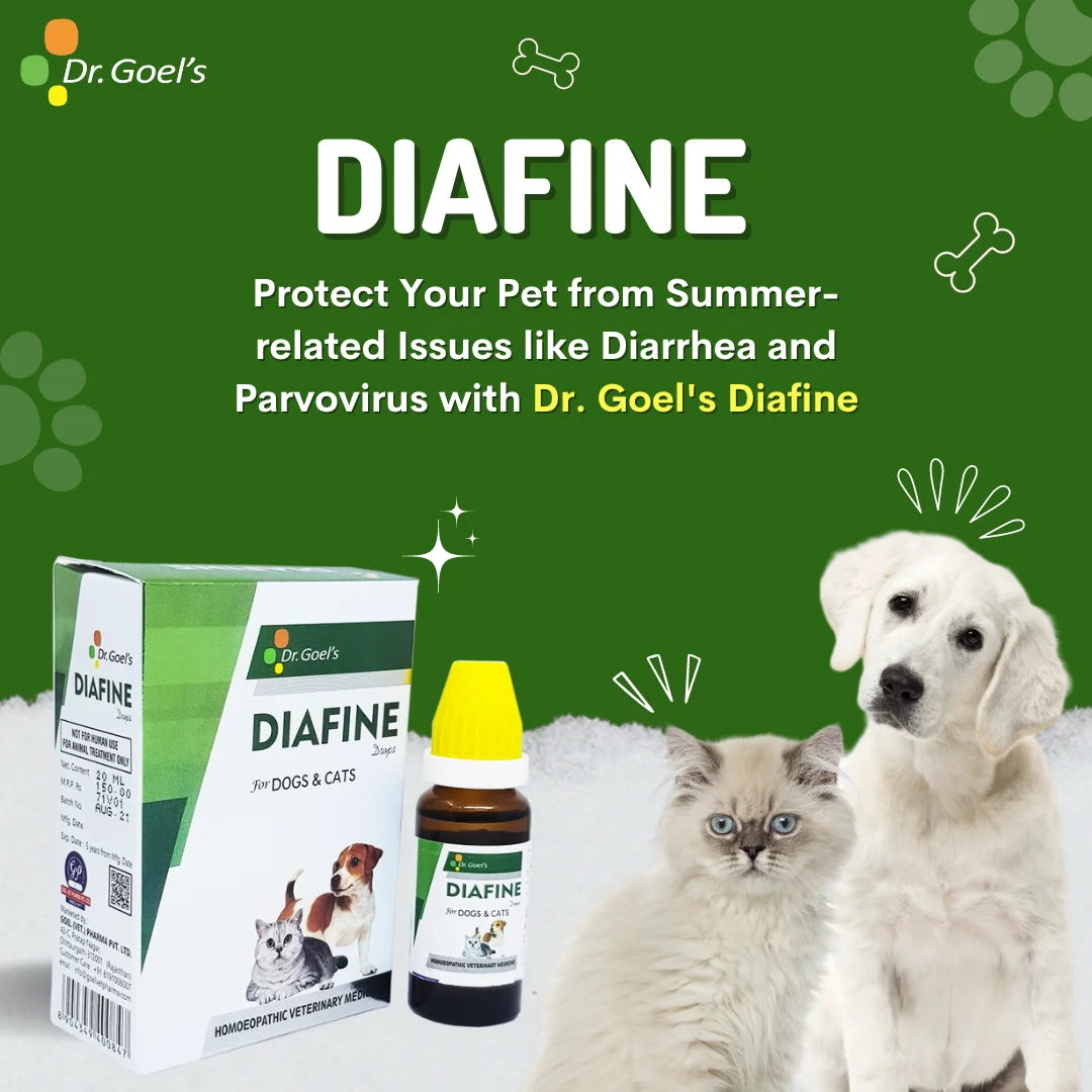 DIAFINE for PETS 20ML for Diarrhoea and PARVO