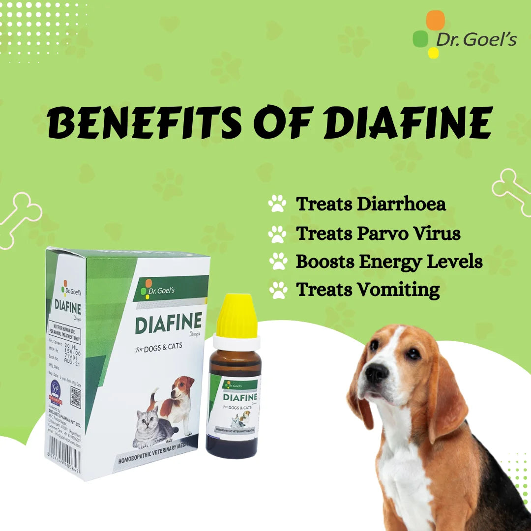 DIAFINE for PETS 20ML for Diarrhoea and PARVO