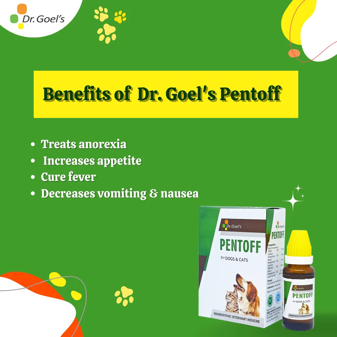 PENTOFF for PETS 20ML For Anorexia