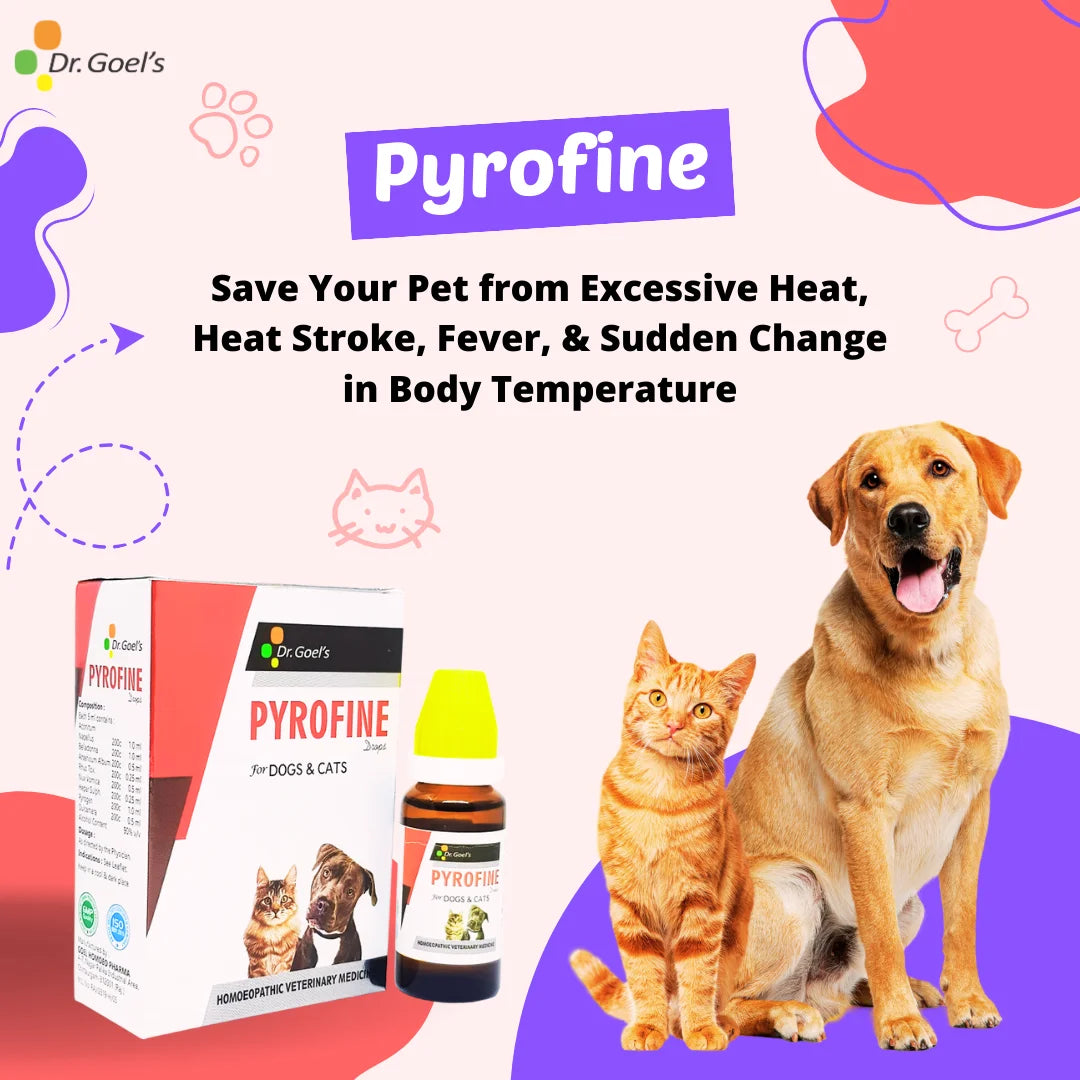 PYROFINE for PETS 20ML for Fever or Pyrexia