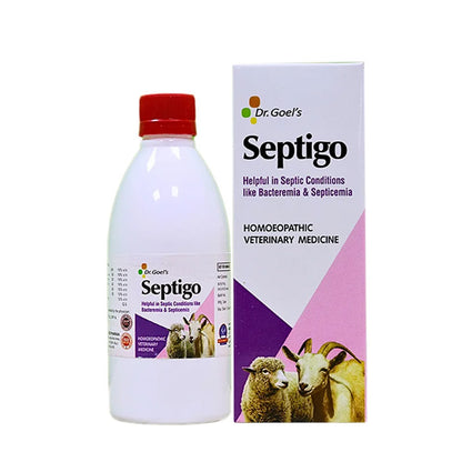 Septigo for Sheep and Goat - It helps in Septic condition like Bacteremia and Septicemia