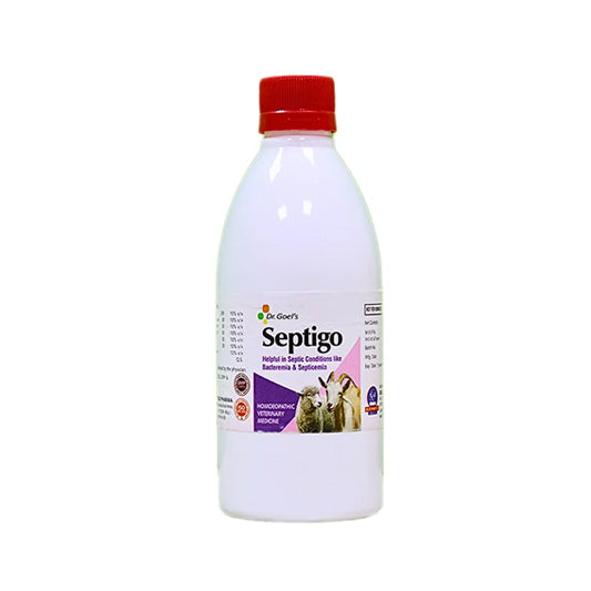 Septigo for Sheep and Goat - It helps in Septic condition like Bacteremia and Septicemia