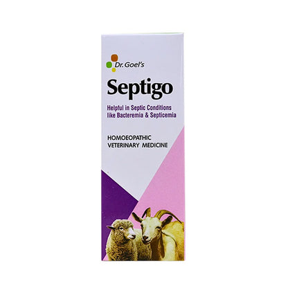 Septigo for Sheep and Goat - It helps in Septic condition like Bacteremia and Septicemia