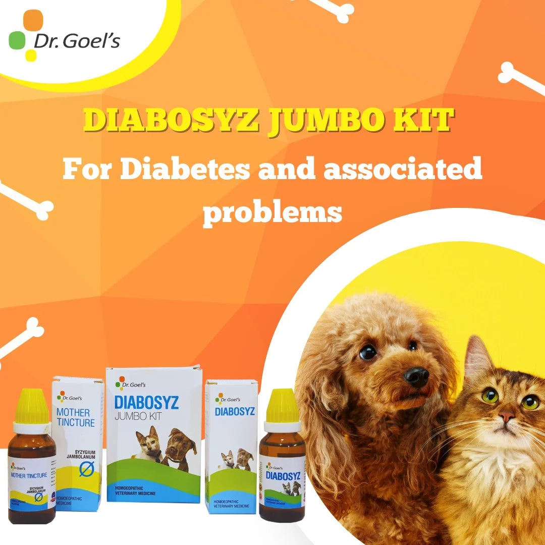 DIABOSYZ JUMBO KIT for PETS 30ML For Diabetes