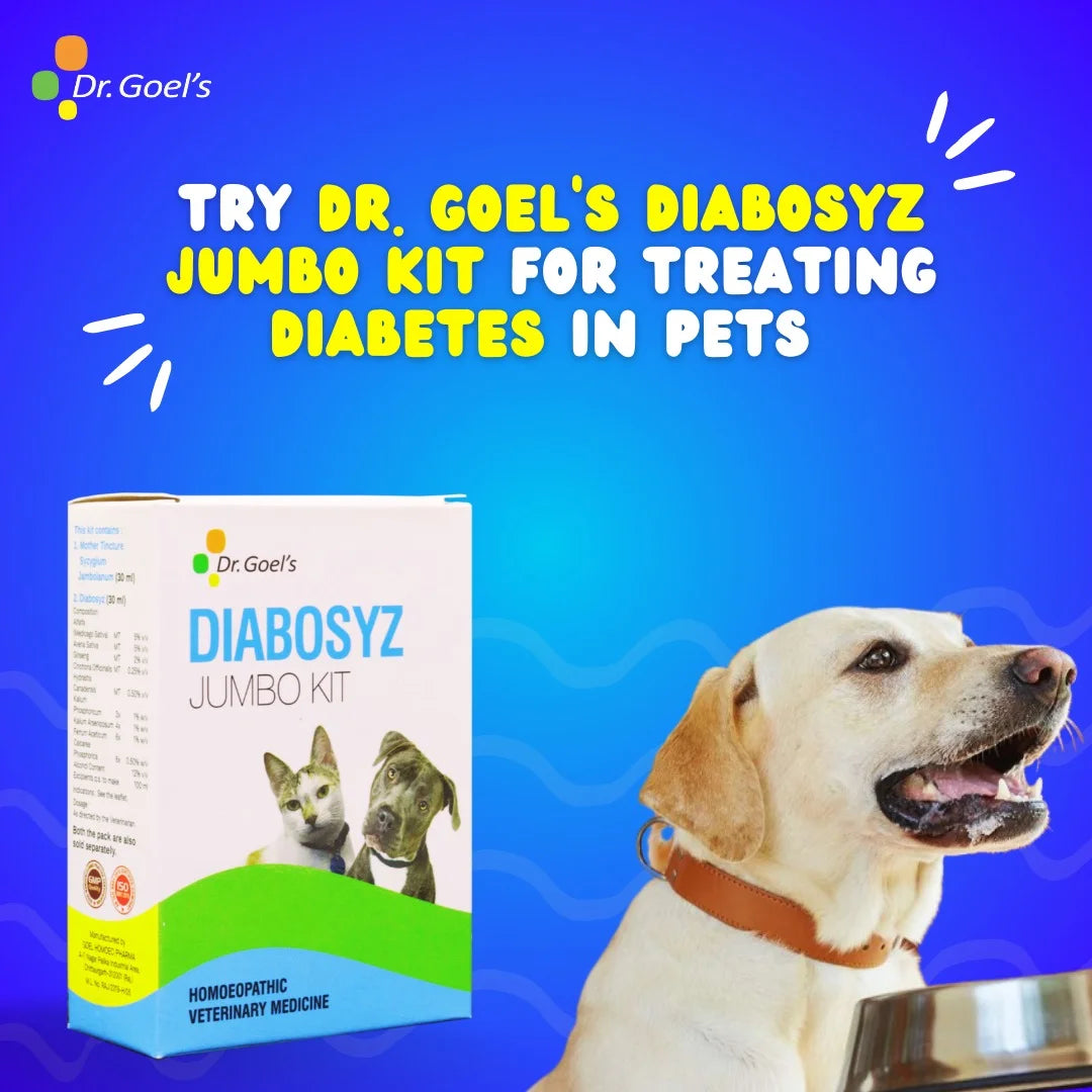 DIABOSYZ JUMBO KIT for PETS 30ML For Diabetes