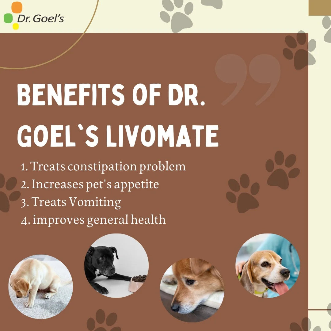 Improve Pet Gut Health Livomate + Me & My Digestion (Combo)