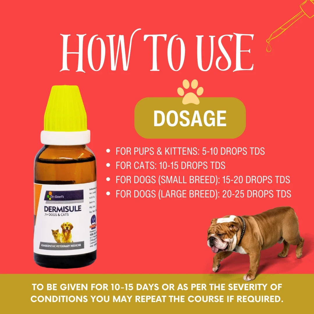 DERMISULE for PETS 30ml For Skin Infections