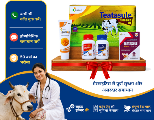 Teatasule Fibro Gold Kit