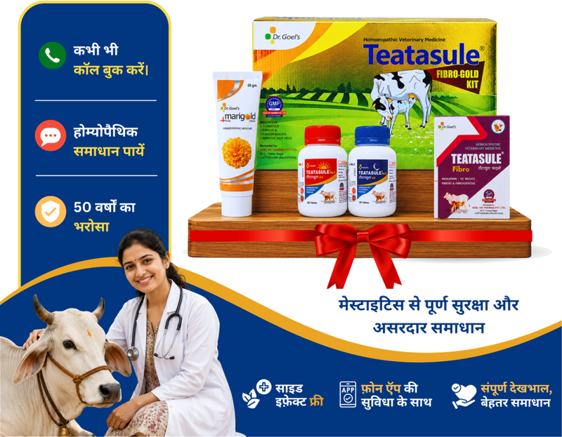 Teatasule Fibro Gold Kit