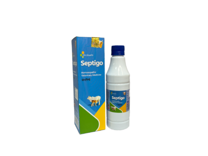 Septigo for septic issue in cow and buffaloo