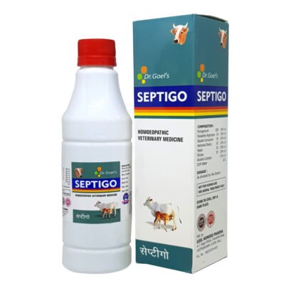 SEPTIGO For Cattle | For All Type Of Septic Condition