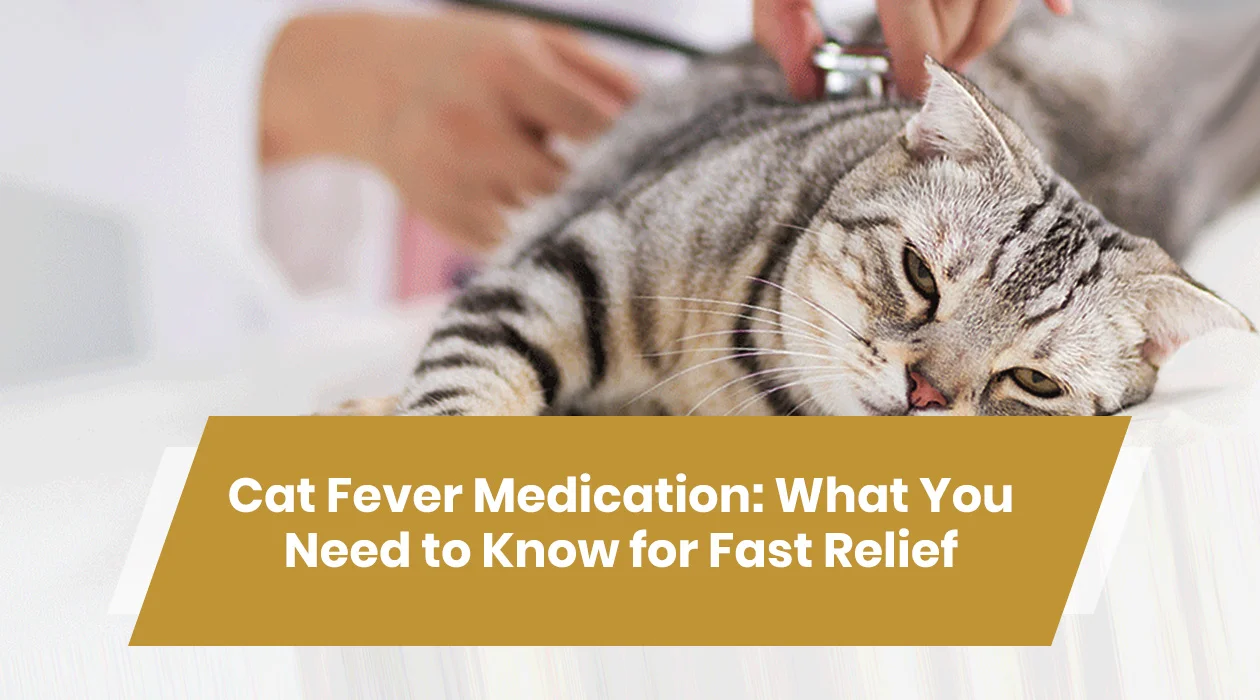 cat fever medication